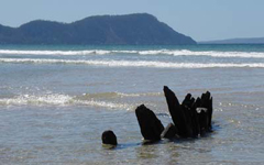 Ships timbers in intertidal zone