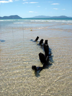 Ships timbers in intertidal zone