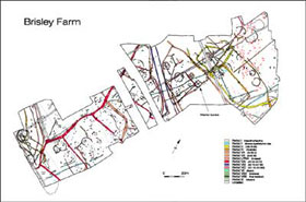 Plan of site