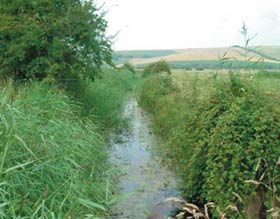 Drainage ditch