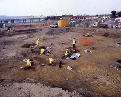 Ropetackle excavations