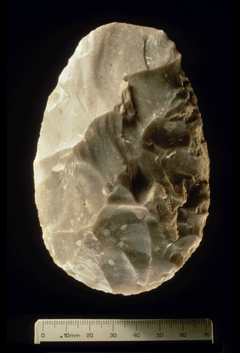 Biface Handaxe from Boxgrove